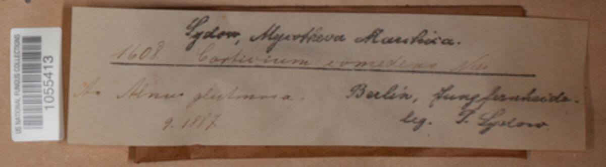 Vuilleminia comedens image